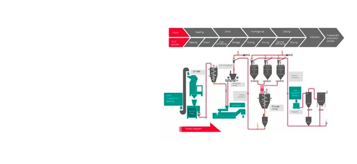 Process Flow